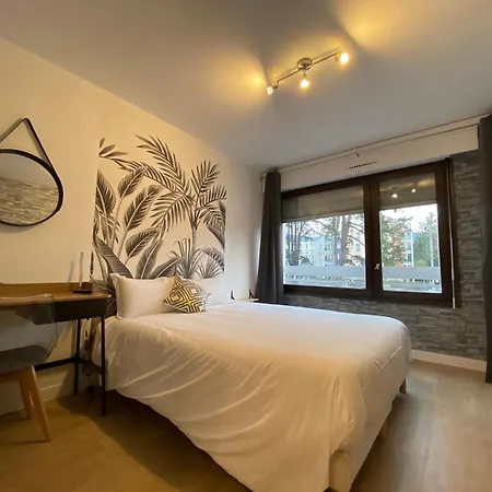 Studios & Chambres Aux Portes De Geneve Saint-Julien-en-Genevois Exterior foto