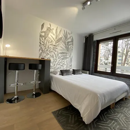 Studios & Chambres Aux Portes De Geneve Saint-Julien-en-Genevois Exterior foto